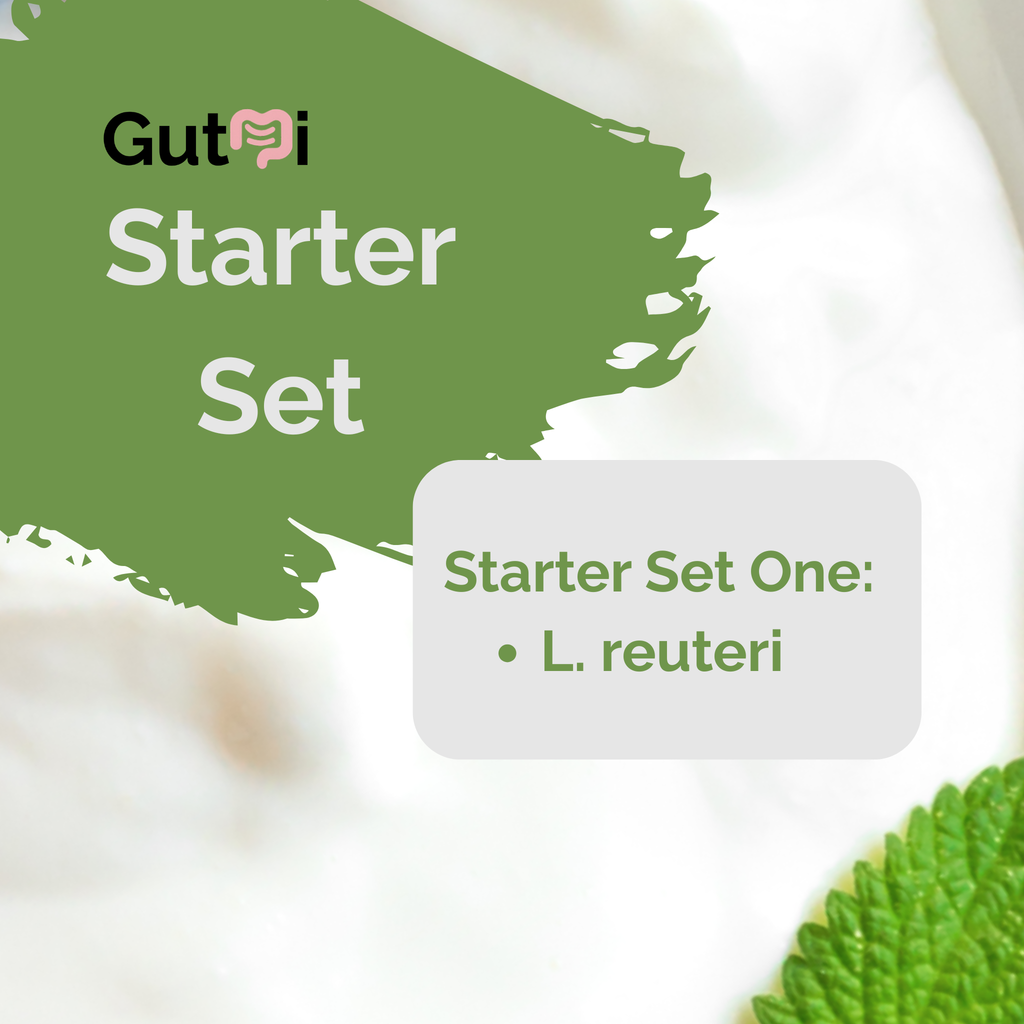 L. reuteri | Yogurt Starter Set | Starter Cultures | Pack of 3
