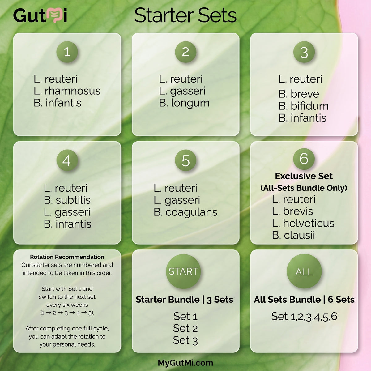 L. reuteri + B. breve + B. bifidum + B. infantis | Calm Gut | Yogurt Starter Set | Starter Cultures | 3 Yogurt Starters